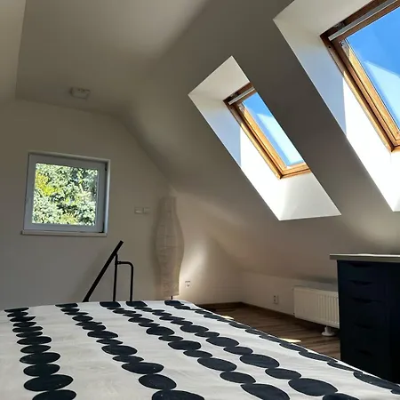 Spacious Duplex With Fireplace By The Nisa River *