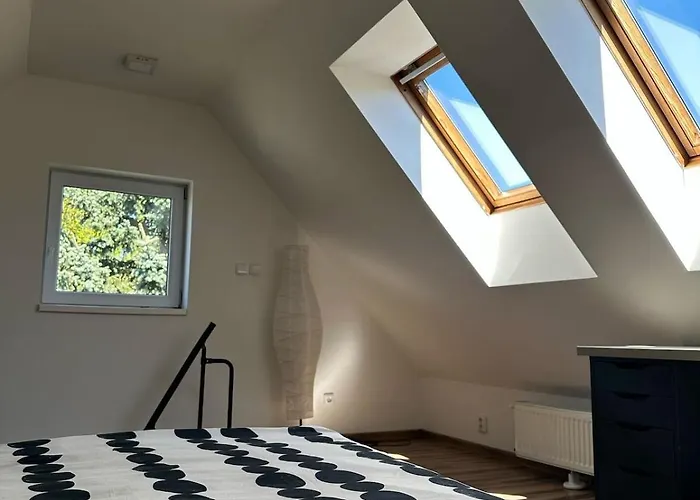 Spacious Duplex With Fireplace By The Nisa River *