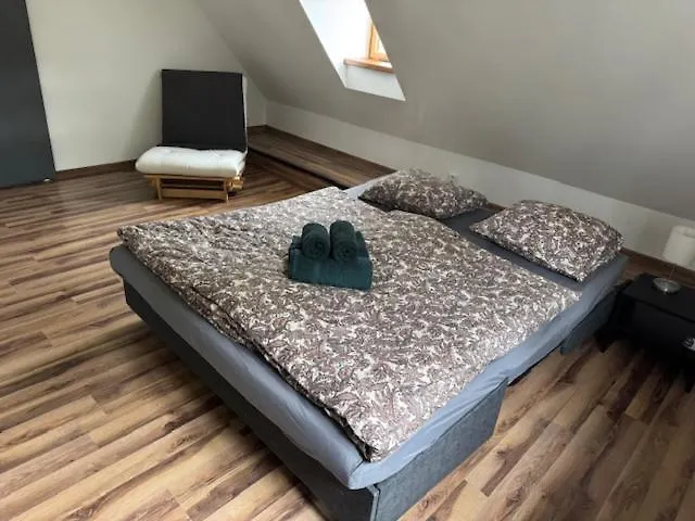 Appartement Spacious Duplex With Fireplace By The Nisa River